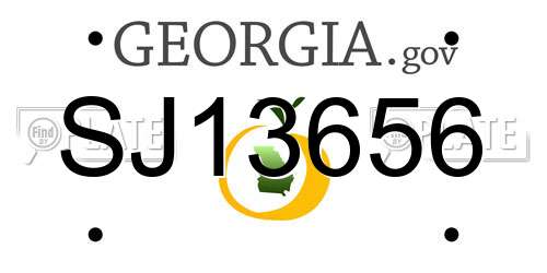 SJ13656 Georgia License Plate