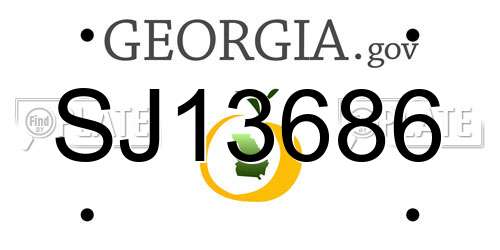SJ13686 Georgia License Plate