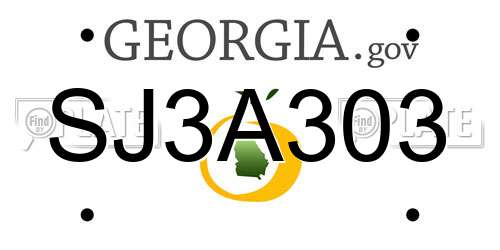 SJ3A303 Georgia License Plate