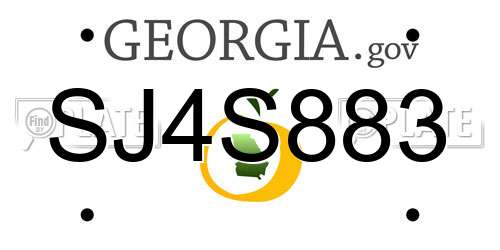 SJ4S883 Georgia License Plate