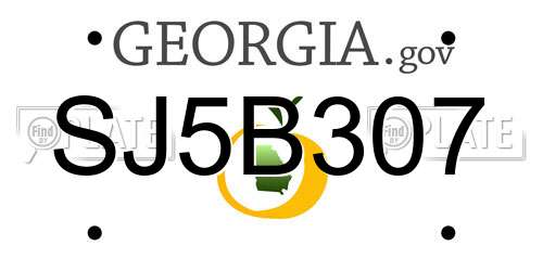 SJ5B307 Georgia License Plate