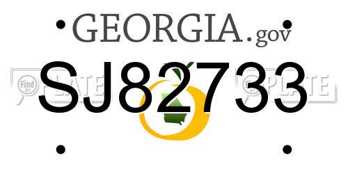 SJ82733 Georgia License Plate