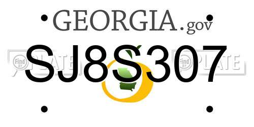 SJ8S307 Georgia License Plate