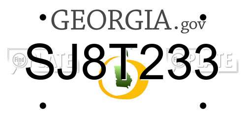 SJ8T233 Georgia License Plate