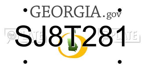 SJ8T281 Georgia License Plate