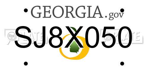 SJ8X050 Georgia License Plate