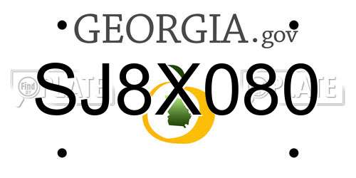 SJ8X080 Georgia License Plate