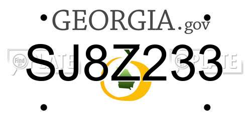 SJ8Z233 Georgia License Plate