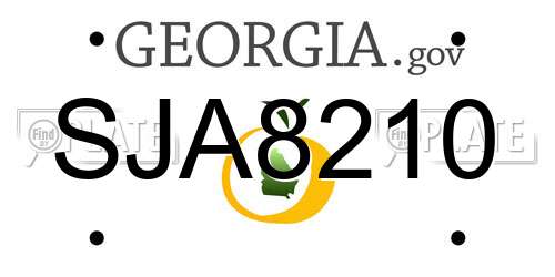 SJA8210 Georgia License Plate