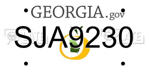 SJA9230 Georgia License Plate