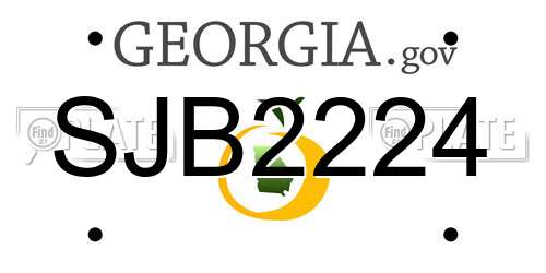 SJB2224 Georgia License Plate