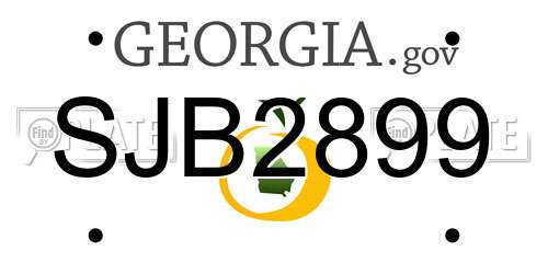 SJB2899 Georgia License Plate