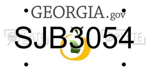 SJB3054 Georgia License Plate