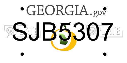 SJB5307 Georgia License Plate