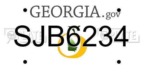 SJB6234 Georgia License Plate
