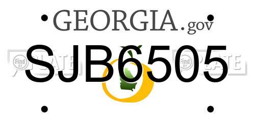 SJB6505 Georgia License Plate