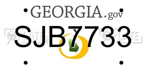 SJB7733 Georgia License Plate