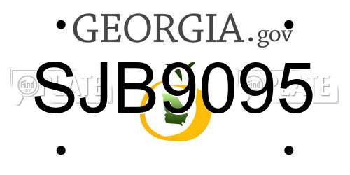 SJB9095 Georgia License Plate