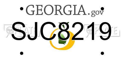 SJC8219 Georgia License Plate