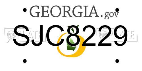 SJC8229 Georgia License Plate