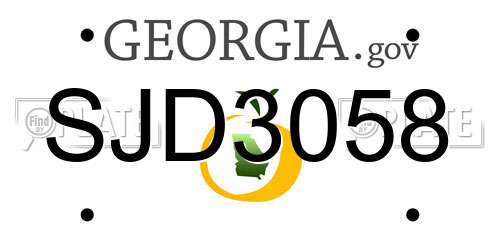 SJD3058 Georgia License Plate