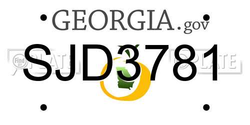 SJD3781 Georgia License Plate
