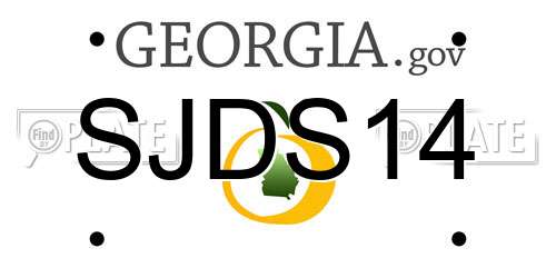 SJDS14 Georgia License Plate