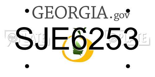 SJE6253 Georgia License Plate