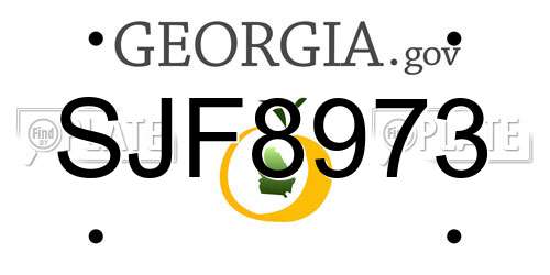 SJF8973 Georgia License Plate