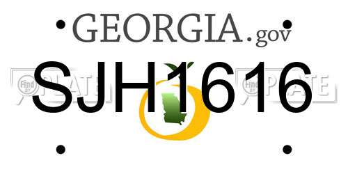 SJH1616 Georgia License Plate
