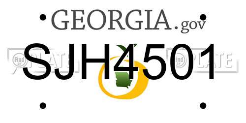 SJH4501 Georgia License Plate