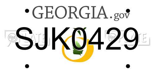 SJK0429 Georgia License Plate