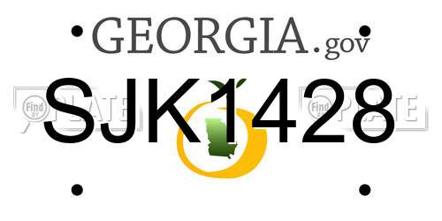 SJK1428 Georgia License Plate