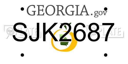 SJK2687 Georgia License Plate