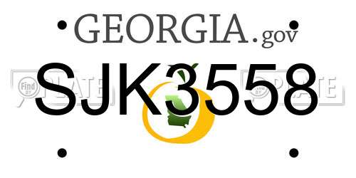 SJK3558 Georgia License Plate