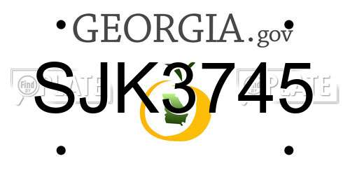SJK3745 Georgia License Plate