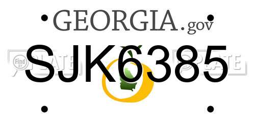 SJK6385 Georgia License Plate