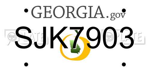 SJK7903 Georgia License Plate