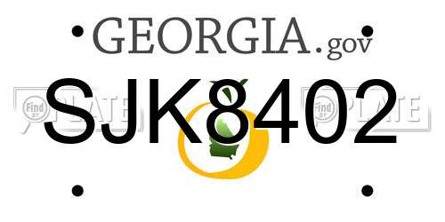 SJK8402 Georgia License Plate
