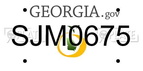 SJM0675 Georgia License Plate