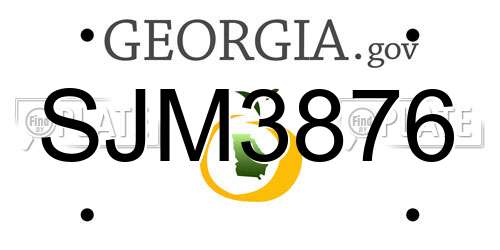 SJM3876 Georgia License Plate