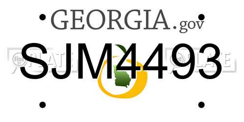 SJM4493 Georgia License Plate
