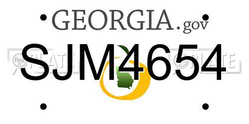 SJM4654 Georgia License Plate