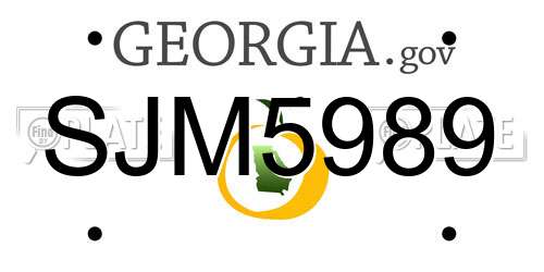 SJM5989 Georgia License Plate
