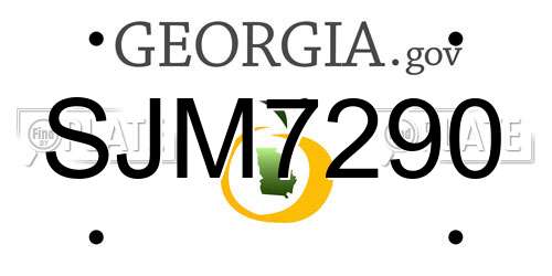 SJM7290 Georgia License Plate