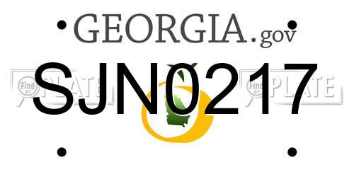 SJN0217 Georgia License Plate