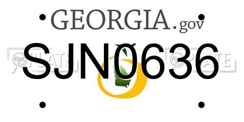 SJN0636 Georgia License Plate