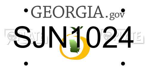 SJN1024 Georgia License Plate