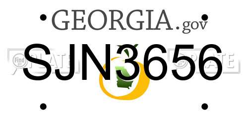 SJN3656 Georgia License Plate