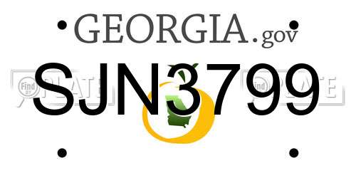 SJN3799 Georgia License Plate